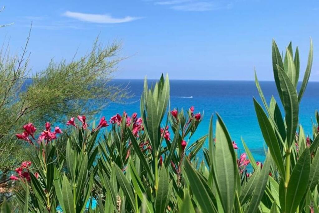 Boutique Apartment With Beach Within Walking Distance, Near Tropea ปาร์เกลียา ภายนอก รูปภาพ